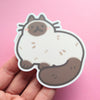 Siamese Cat Sticker