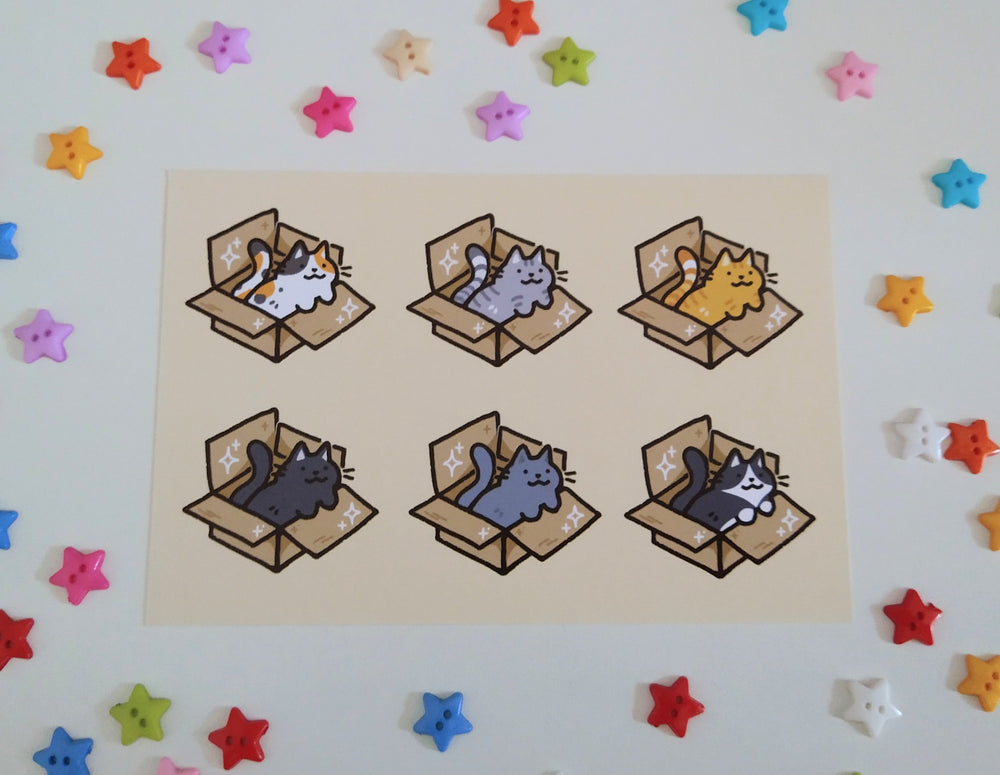 Box Cats Postcard