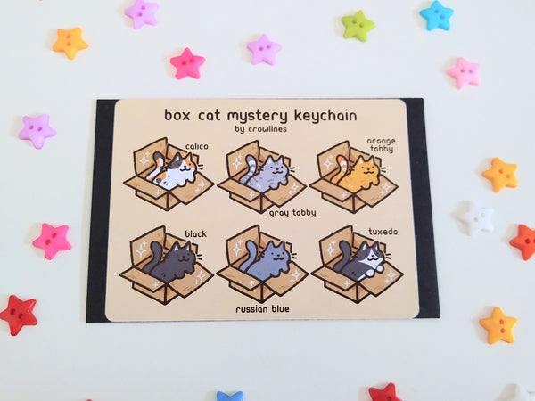 Box Cat Mystery Keychain