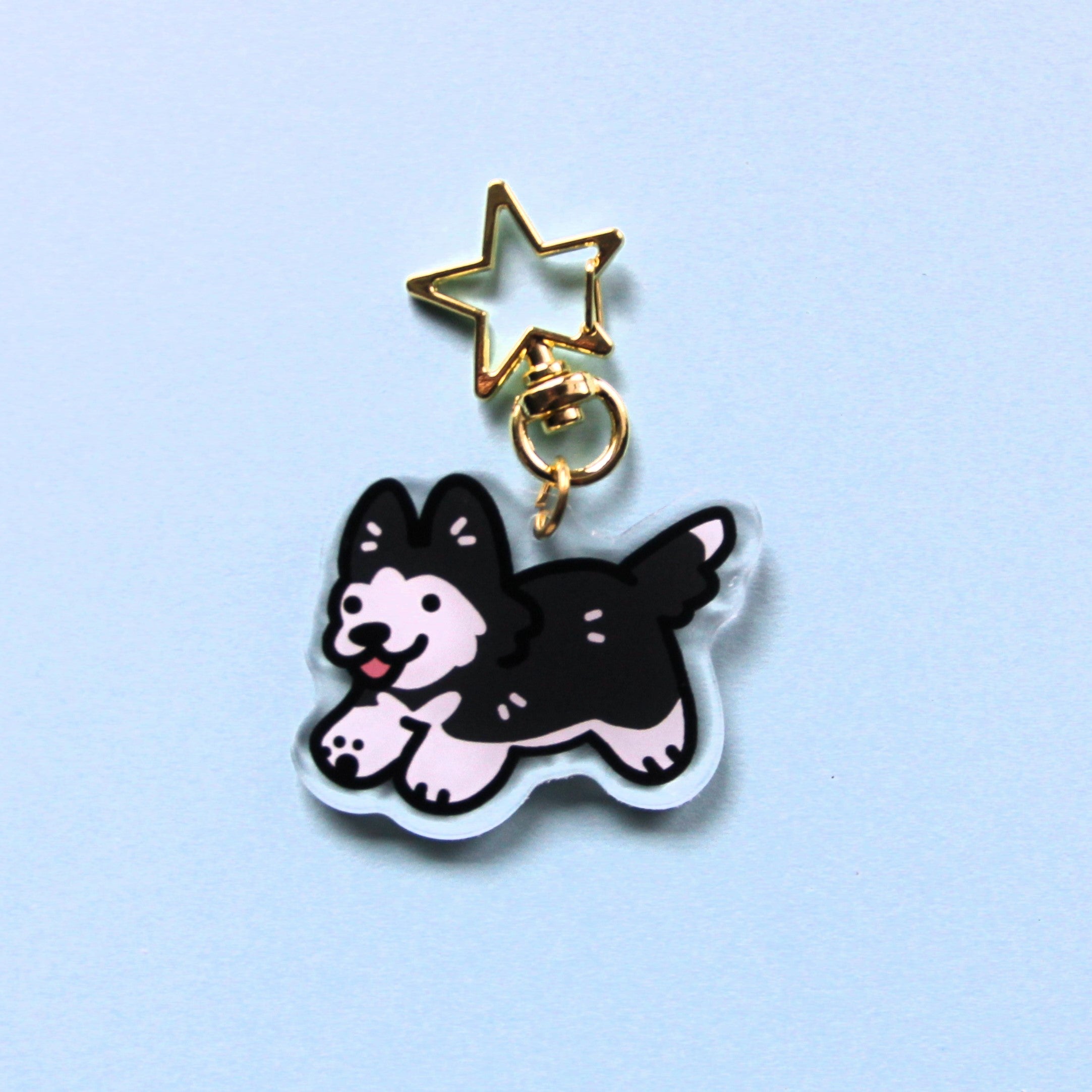 Clear acrylic charm. Black husky keychain with golden star shaped clasp on a light blue background