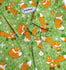 files/fox_field_2.jpg