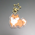 files/redshiba1.png
